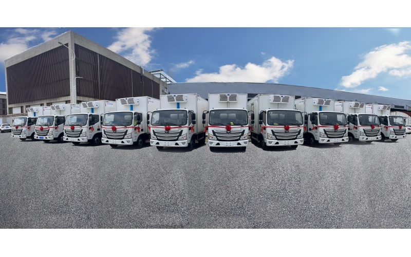 四米二油车案例